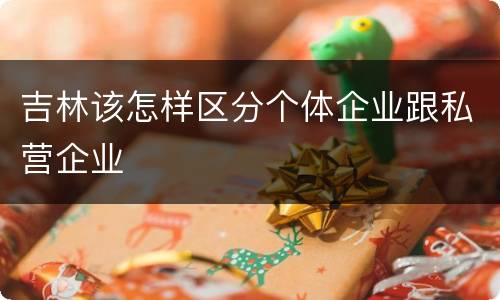 吉林该怎样区分个体企业跟私营企业