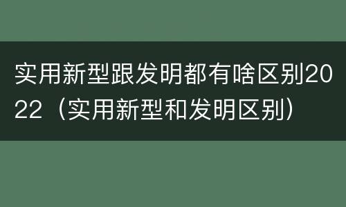 实用新型跟发明都有啥区别2022（实用新型和发明区别）