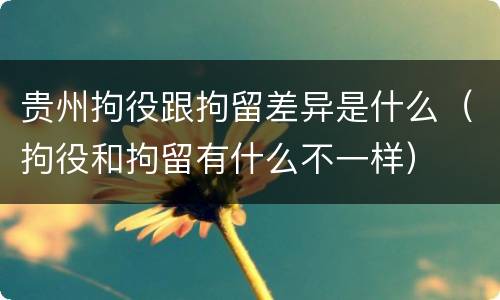 贵州拘役跟拘留差异是什么（拘役和拘留有什么不一样）