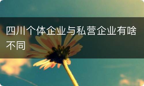 四川个体企业与私营企业有啥不同
