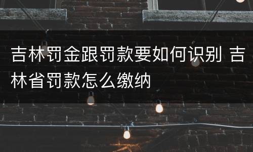 吉林罚金跟罚款要如何识别 吉林省罚款怎么缴纳