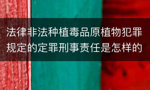 法律非法种植毒品原植物犯罪规定的定罪刑事责任是怎样的
