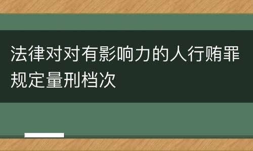 法律对对有影响力的人行贿罪规定量刑档次