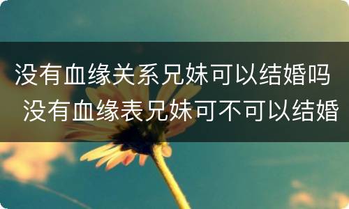 没有血缘关系兄妹可以结婚吗 没有血缘表兄妹可不可以结婚