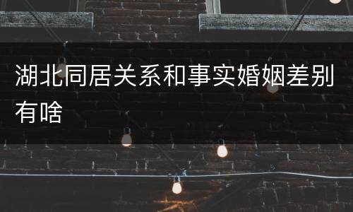 湖北同居关系和事实婚姻差别有啥