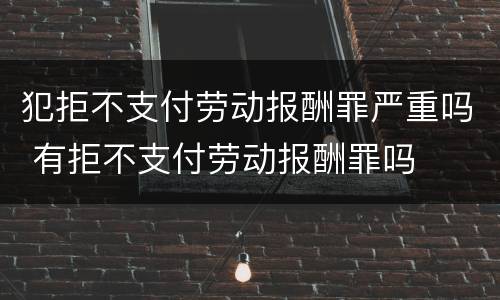 犯拒不支付劳动报酬罪严重吗 有拒不支付劳动报酬罪吗
