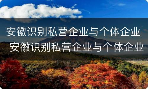 安徽识别私营企业与个体企业 安徽识别私营企业与个体企业的区别