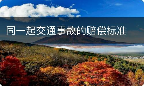 同一起交通事故的赔偿标准