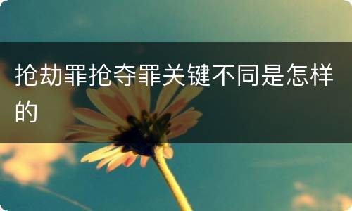抢劫罪抢夺罪关键不同是怎样的
