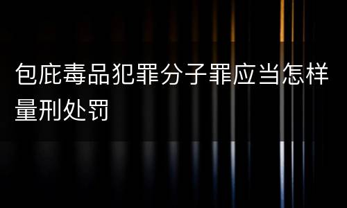 包庇毒品犯罪分子罪应当怎样量刑处罚