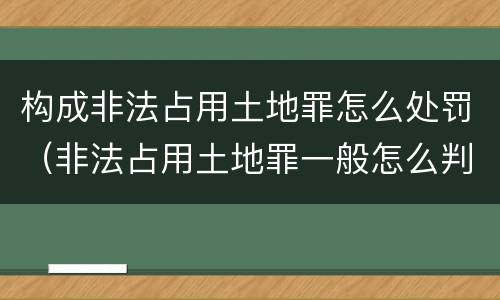 构成非法占用土地罪怎么处罚（非法占用土地罪一般怎么判决）