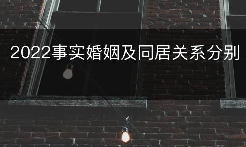 2022事实婚姻及同居关系分别