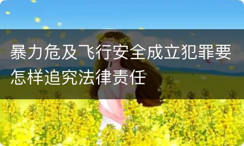 暴力危及飞行安全成立犯罪要怎样追究法律责任