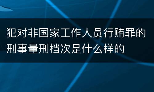 犯对非国家工作人员行贿罪的刑事量刑档次是什么样的
