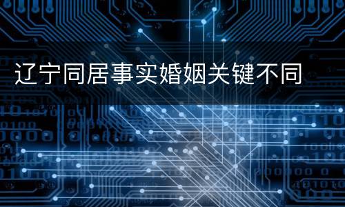 辽宁同居事实婚姻关键不同