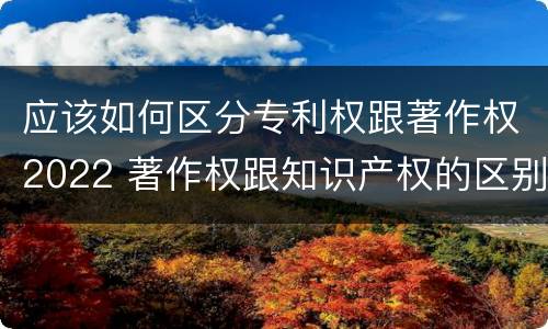 应该如何区分专利权跟著作权2022 著作权跟知识产权的区别