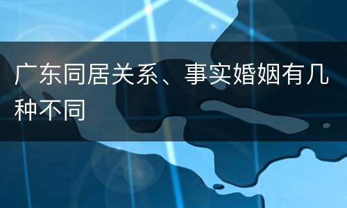 广东同居关系、事实婚姻有几种不同