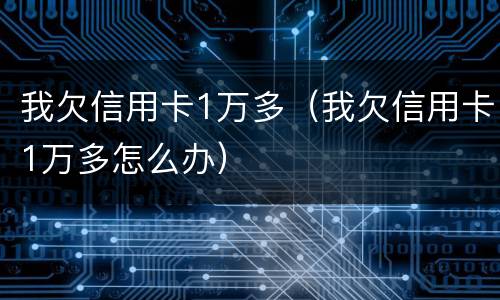 我欠信用卡1万多（我欠信用卡1万多怎么办）
