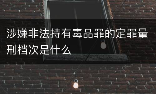 涉嫌非法持有毒品罪的定罪量刑档次是什么