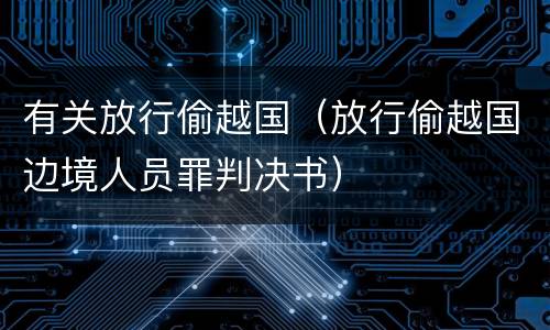 有关放行偷越国（放行偷越国边境人员罪判决书）