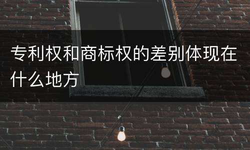 专利权和商标权的差别体现在什么地方