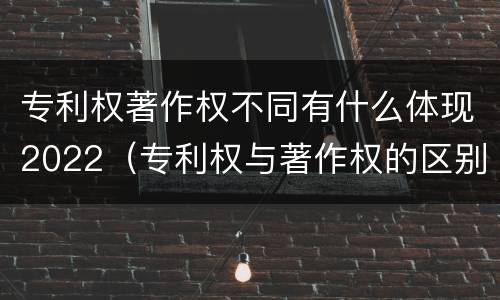 专利权著作权不同有什么体现2022（专利权与著作权的区别与联系）