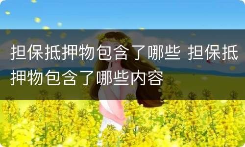 担保抵押物包含了哪些 担保抵押物包含了哪些内容