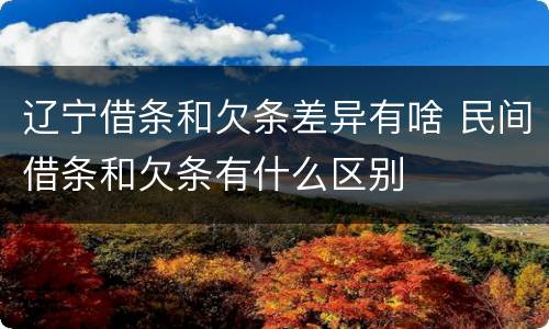 辽宁借条和欠条差异有啥 民间借条和欠条有什么区别