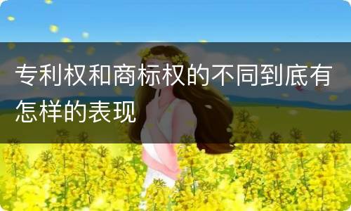 专利权和商标权的不同到底有怎样的表现