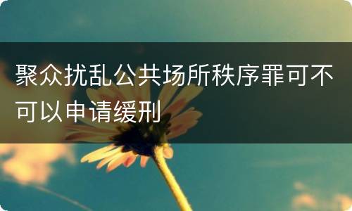 聚众扰乱公共场所秩序罪可不可以申请缓刑