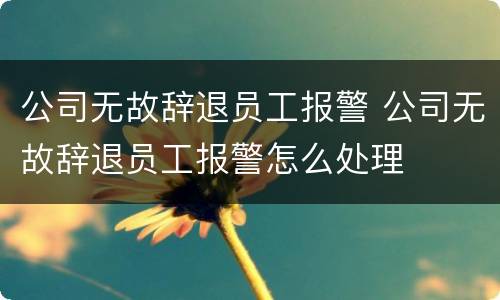 公司无故辞退员工报警 公司无故辞退员工报警怎么处理