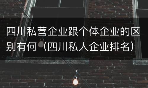 四川私营企业跟个体企业的区别有何（四川私人企业排名）