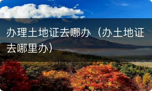 办理土地证去哪办（办土地证去哪里办）