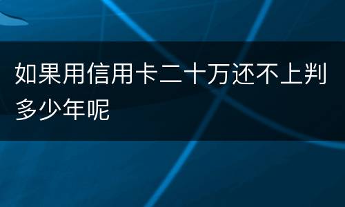 如果用信用卡二十万还不上判多少年呢