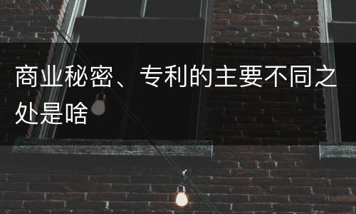 商业秘密、专利的主要不同之处是啥