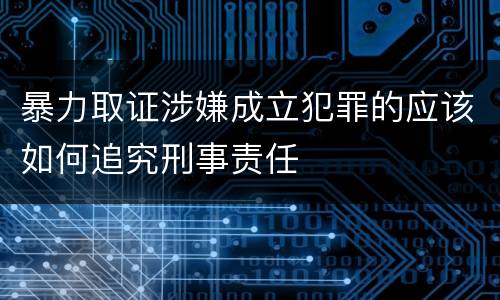 暴力取证涉嫌成立犯罪的应该如何追究刑事责任