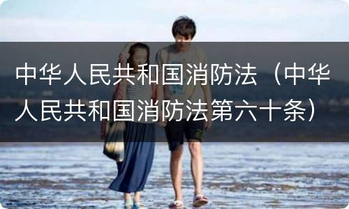 中华人民共和国消防法（中华人民共和国消防法第六十条）