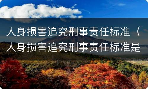 人身损害追究刑事责任标准（人身损害追究刑事责任标准是多少）
