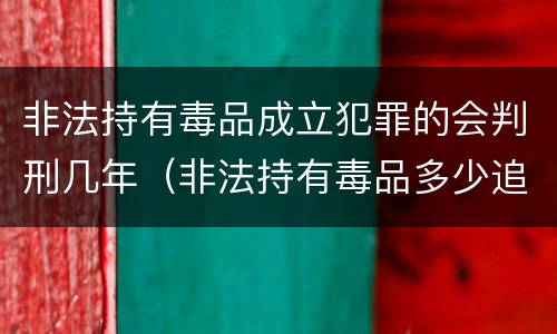 非法持有毒品成立犯罪的会判刑几年（非法持有毒品多少追究刑事责任）