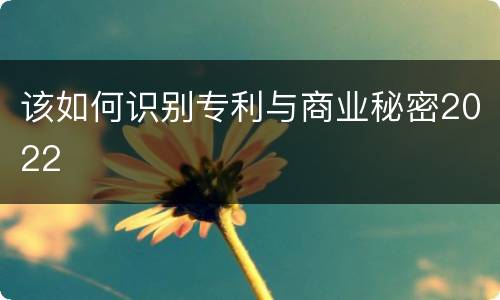 该如何识别专利与商业秘密2022