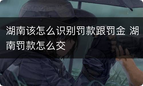 湖南该怎么识别罚款跟罚金 湖南罚款怎么交