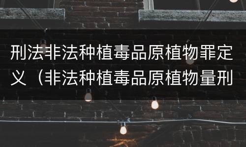 刑法非法种植毒品原植物罪定义（非法种植毒品原植物量刑标准）