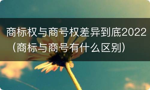商标权与商号权差异到底2022（商标与商号有什么区别）