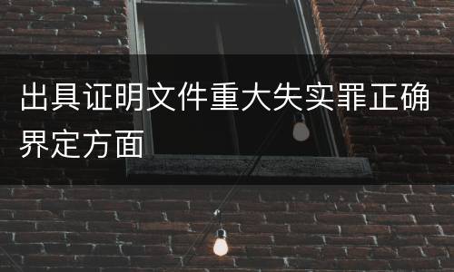 出具证明文件重大失实罪正确界定方面