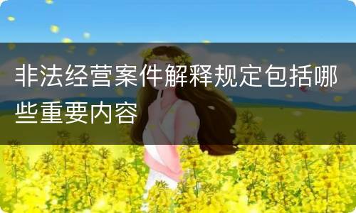 非法经营案件解释规定包括哪些重要内容