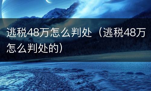 逃税48万怎么判处（逃税48万怎么判处的）