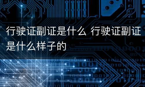 行驶证副证是什么 行驶证副证是什么样子的