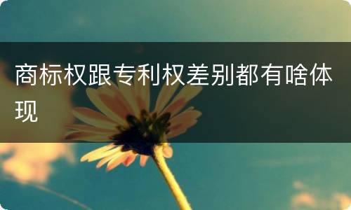 商标权跟专利权差别都有啥体现