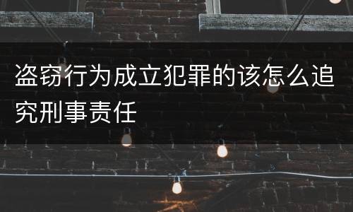盗窃行为成立犯罪的该怎么追究刑事责任