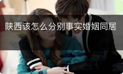 陕西该怎么分别事实婚姻同居